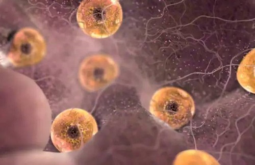 2020下半年夫妻正常做試管多少錢(qián)？