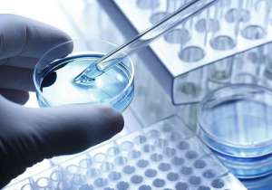 泰國試管嬰兒的費用比國內(nèi)高10萬的原因什么