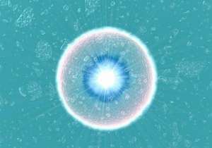 如何能選擇好的試管嬰兒醫(yī)院和醫(yī)生