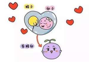 泰國(guó)第三代試管嬰兒技術(shù)優(yōu)勢(shì)好處是什么