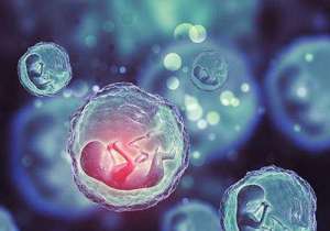 2022第三代試管嬰兒用多少錢(qián)