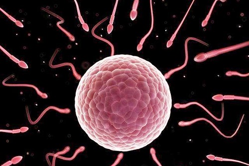 高齡做試管嬰兒需要多少錢呢