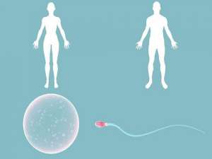 去國外做試管嬰兒要多少錢呢