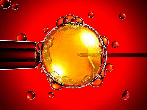 做試管嬰兒冷凍胚胎多少錢