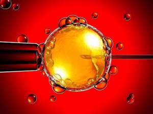 做試管嬰兒冷凍胚胎多少錢