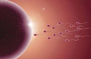 現(xiàn)在做試管嬰兒可以要嗎