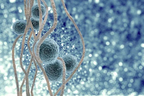 三代試管技術(shù)能女嗎