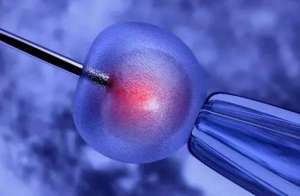 試管嬰兒的價格范圍