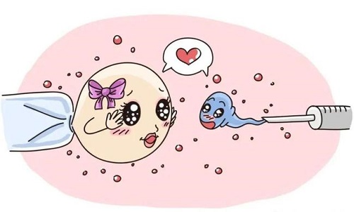 結扎后還能做試管嬰兒嗎