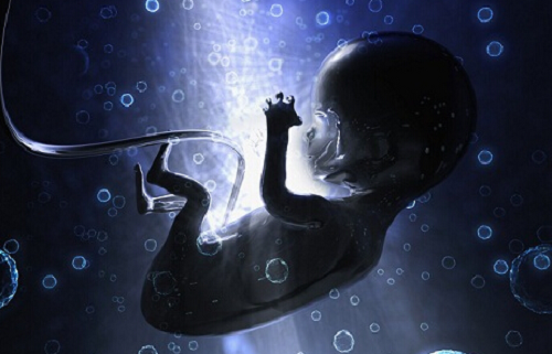 一次試管嬰兒總費用是多少