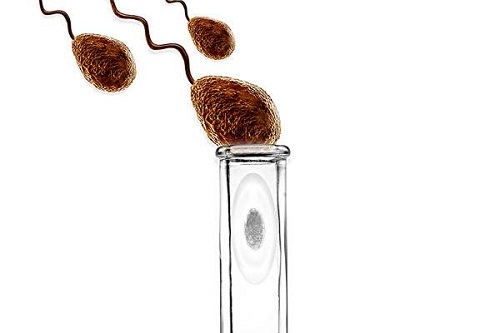 試管嬰兒去哪里做好呢