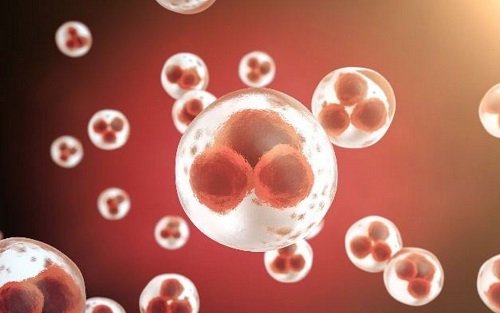 去泰國(guó)試管嬰兒的流程是怎樣