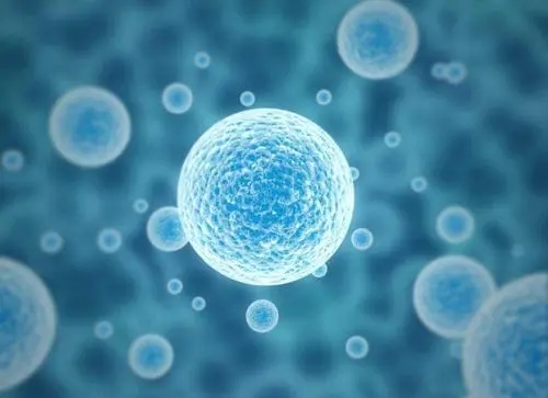 去泰國(guó)試管流程的全部過程