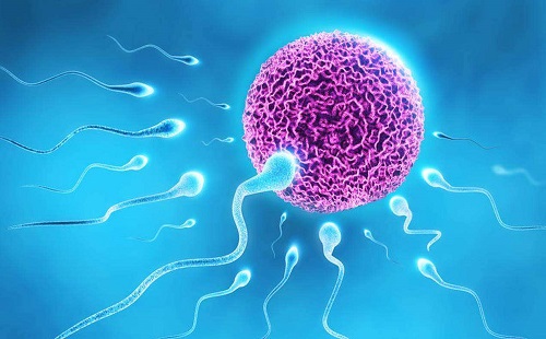 高齡女性做美國(guó)三代試管的費(fèi)用