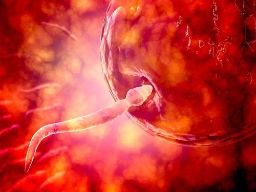 一次試管嬰兒多少錢