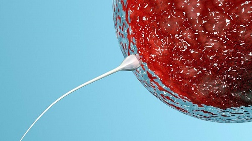 泰國(guó)試管成功率高嗎