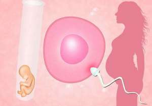 什么時(shí)間適合做美國(guó)試管嬰兒移植?