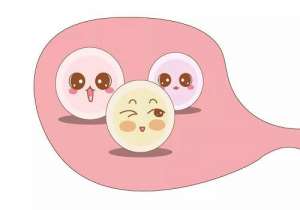 俄羅斯第二代試管嬰兒的步驟流程