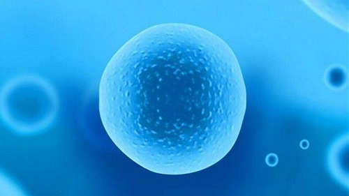 泰國第三代試管嬰兒價格大概多少錢