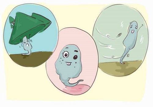 試管嬰兒一對(duì)多少錢