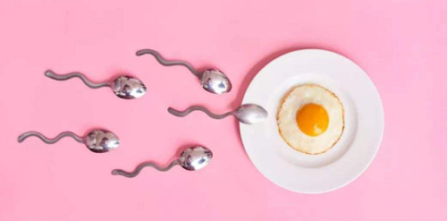 第三代試管嬰兒費用要多少錢