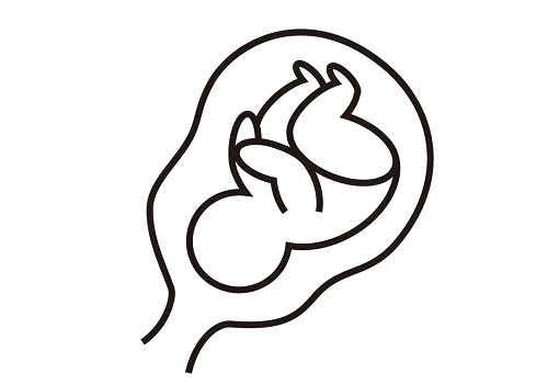 做試管嬰兒大概需要花多少錢