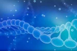 去美國(guó)進(jìn)行試管嬰兒前的準(zhǔn)備