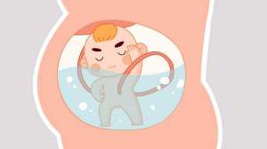 為什么要選擇第三代美國(guó)試管