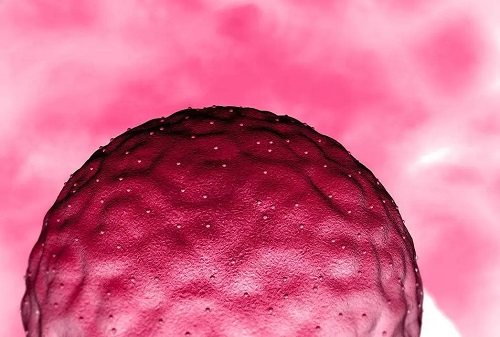 美國試管嬰兒費用要多少