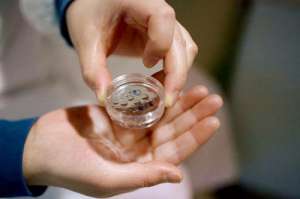 美國(guó)試管嬰兒費(fèi)用包括哪些方面