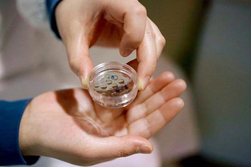 美國試管嬰兒費用包括哪些方面