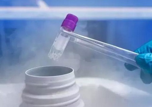 泰國(guó)做試管嬰兒需要辦理哪些手續(xù)