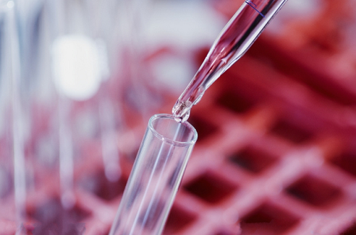 做泰國試管嬰兒的成功率怎么樣