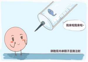 美國(guó)做試管嬰兒到底要花多少錢(qián)