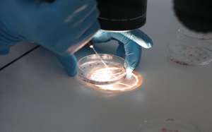 美國試管嬰兒醫(yī)院哪家最權(quán)威