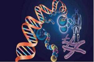 泰國做試管嬰兒成功率怎么樣