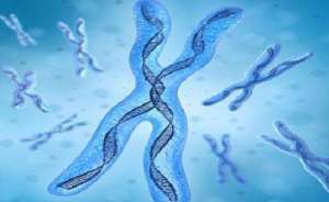 泰國(guó)試管嬰兒移植流程有哪些