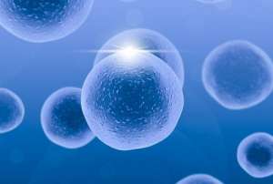 泰國(guó)試管嬰兒一般多少錢(qián)