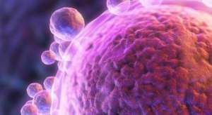 泰國試管嬰兒總費用多少