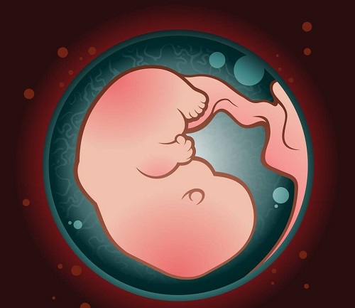 海外俄羅斯三代試管嬰兒的流程和費用