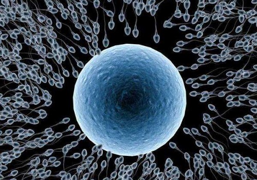 俄羅斯第三代試管嬰兒費(fèi)用多少