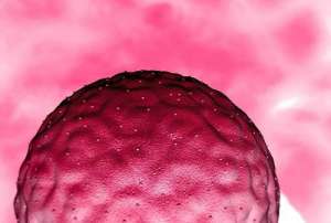 俄羅斯第三代試管嬰兒費(fèi)用