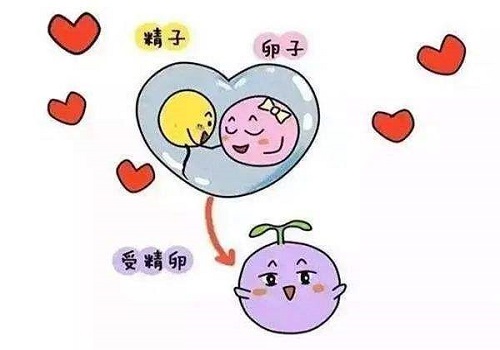 俄羅斯做試管嬰兒的時候要注意哪些流程