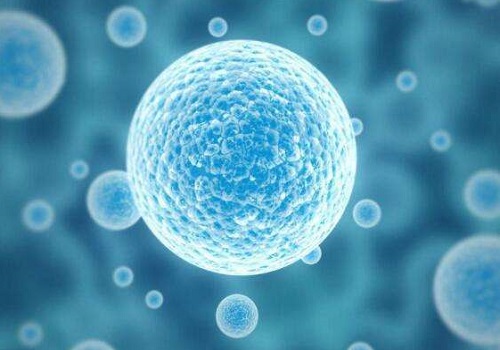 俄羅斯做試管哪家醫(yī)院好