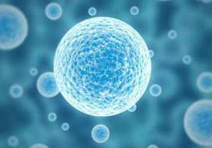 俄羅斯做試管哪家醫(yī)院好